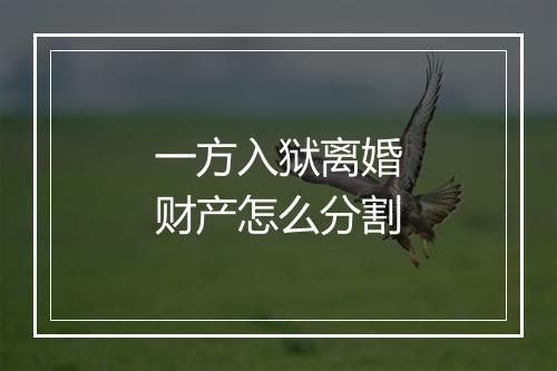 一方入狱离婚财产怎么分割
