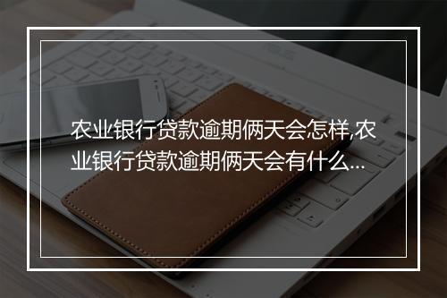 农业银行贷款逾期俩天会怎样,农业银行贷款逾期俩天会有什么后果