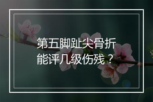第五脚趾尖骨折能评几级伤残？
