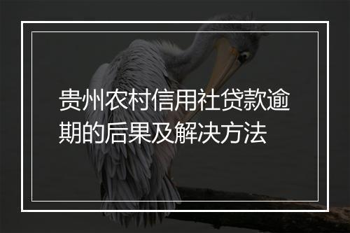 贵州农村信用社贷款逾期的后果及解决方法