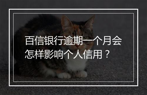 百信银行逾期一个月会怎样影响个人信用？