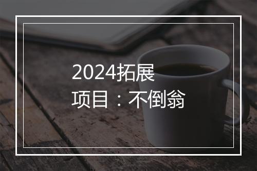2024拓展项目：不倒翁