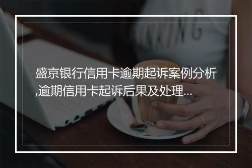 盛京银行信用卡逾期起诉案例分析,逾期信用卡起诉后果及处理建议