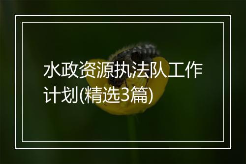水政资源执法队工作计划(精选3篇)