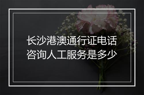 长沙港澳通行证电话咨询人工服务是多少