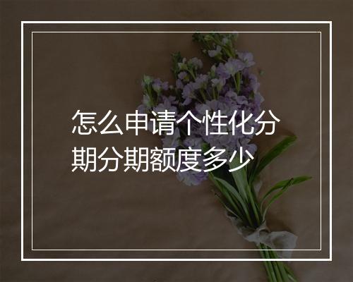 怎么申请个性化分期分期额度多少