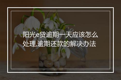 阳光e贷逾期一天应该怎么处理,逾期还款的解决办法