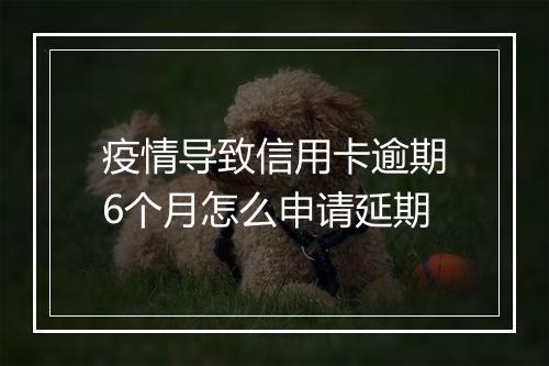 疫情导致信用卡逾期6个月怎么申请延期