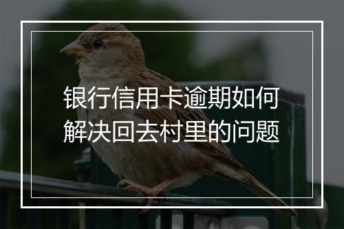 银行信用卡逾期如何解决回去村里的问题
