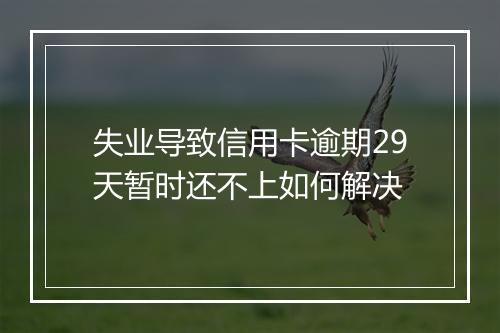 失业导致信用卡逾期29天暂时还不上如何解决