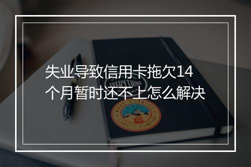 失业导致信用卡拖欠14个月暂时还不上怎么解决