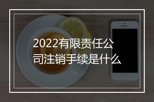 2022有限责任公司注销手续是什么