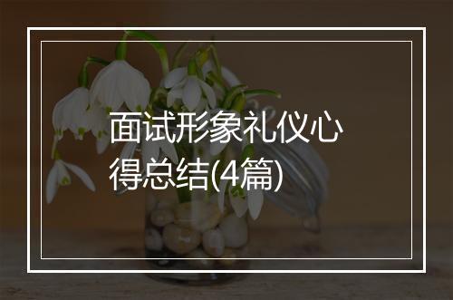 面试形象礼仪心得总结(4篇)