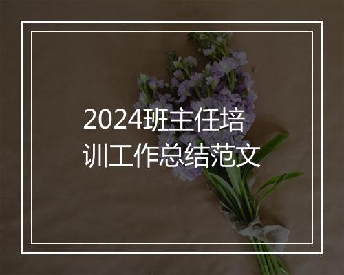2024班主任培训工作总结范文