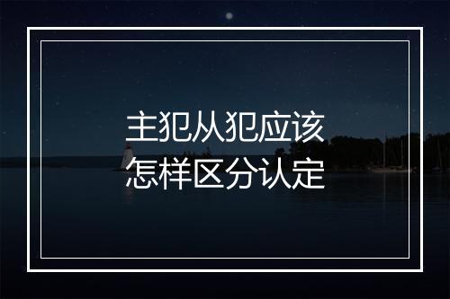 主犯从犯应该怎样区分认定