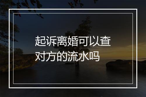 起诉离婚可以查对方的流水吗