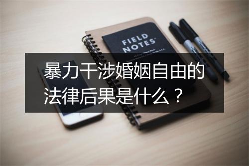 暴力干涉婚姻自由的法律后果是什么？