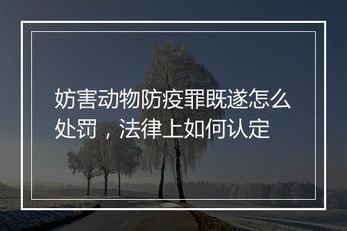 妨害动物防疫罪既遂怎么处罚，法律上如何认定