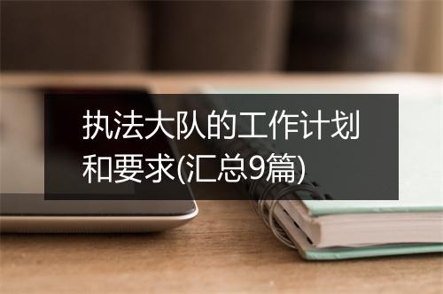 执法大队的工作计划和要求(汇总9篇)