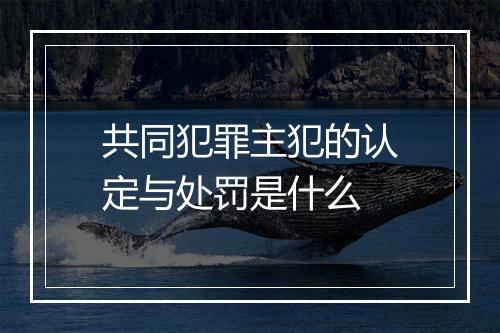 共同犯罪主犯的认定与处罚是什么
