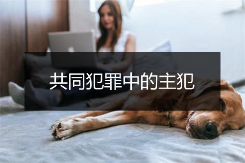 共同犯罪中的主犯
