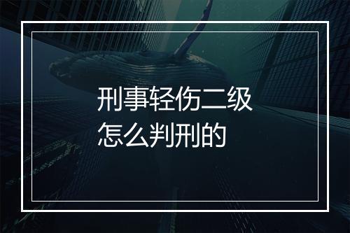 刑事轻伤二级怎么判刑的