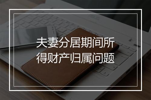 夫妻分居期间所得财产归属问题