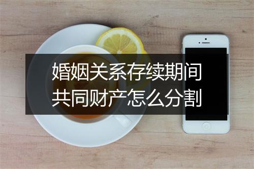 婚姻关系存续期间共同财产怎么分割