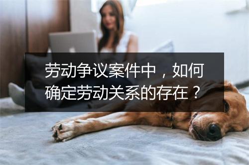 劳动争议案件中，如何确定劳动关系的存在？