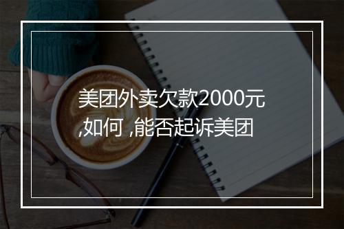 美团外卖欠款2000元,如何 ,能否起诉美团