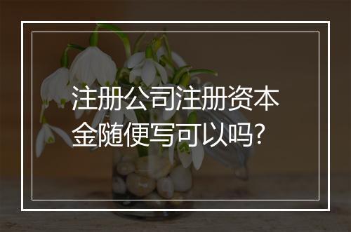 注册公司注册资本金随便写可以吗?