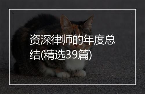 资深律师的年度总结(精选39篇)