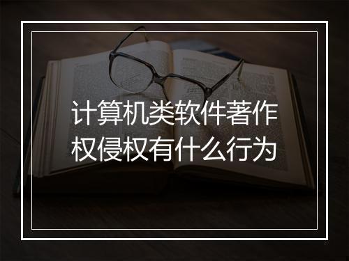 计算机类软件著作权侵权有什么行为