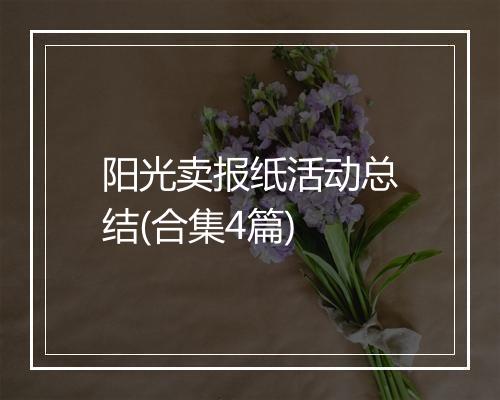 阳光卖报纸活动总结(合集4篇)