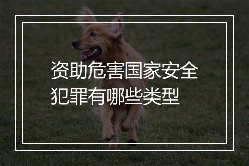 资助危害国家安全犯罪有哪些类型