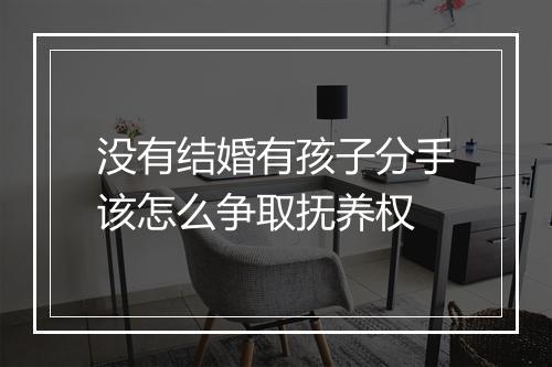 没有结婚有孩子分手该怎么争取抚养权