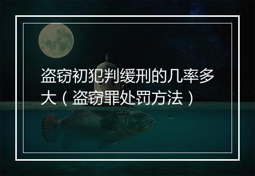 盗窃初犯判缓刑的几率多大（盗窃罪处罚方法）