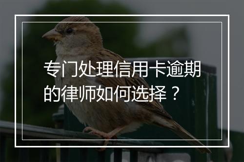 专门处理信用卡逾期的律师如何选择？