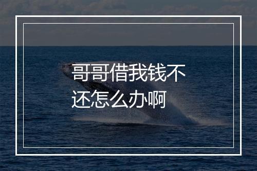 哥哥借我钱不还怎么办啊