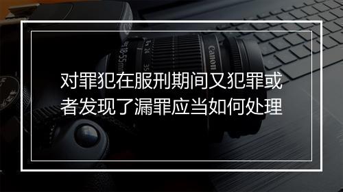 对罪犯在服刑期间又犯罪或者发现了漏罪应当如何处理