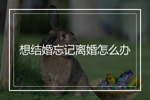 想结婚忘记离婚怎么办