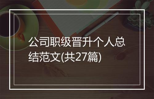 公司职级晋升个人总结范文(共27篇)
