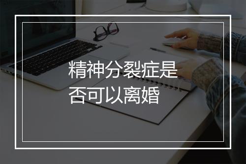 精神分裂症是否可以离婚