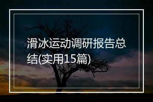 滑冰运动调研报告总结(实用15篇)