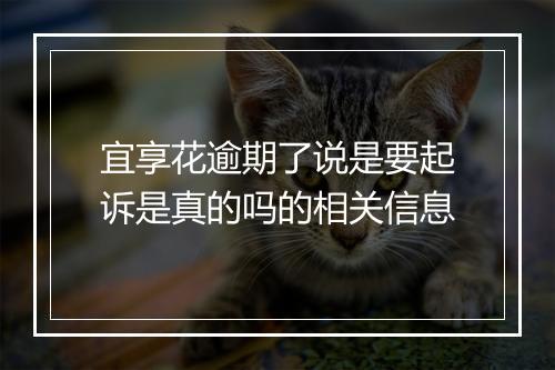 宜享花逾期了说是要起诉是真的吗的相关信息