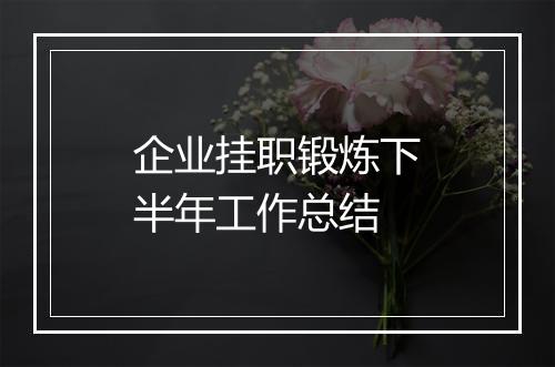 企业挂职锻炼下半年工作总结