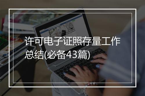 许可电子证照存量工作总结(必备43篇)