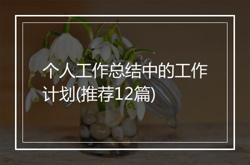 个人工作总结中的工作计划(推荐12篇)
