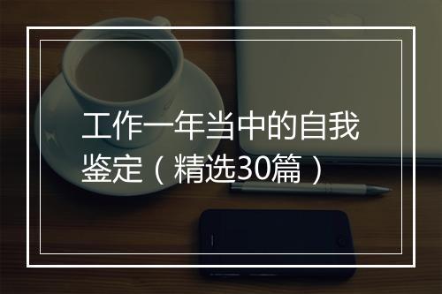 工作一年当中的自我鉴定（精选30篇）
