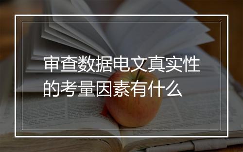 审查数据电文真实性的考量因素有什么